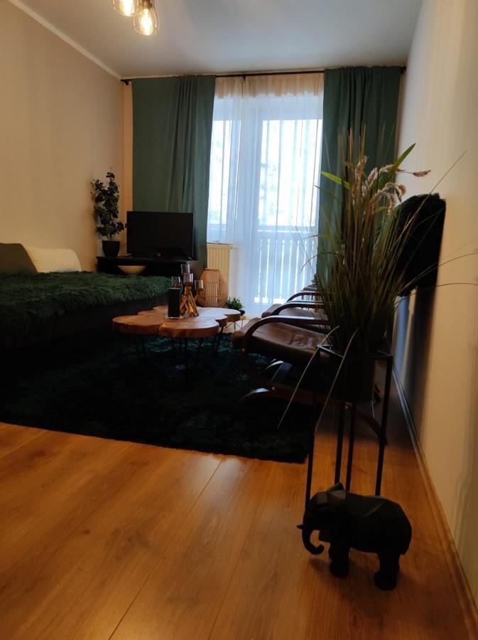 Ski Apartman Sajmon So Saunou Makov Εξωτερικό φωτογραφία